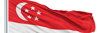 Silambam Singapore Flag 2