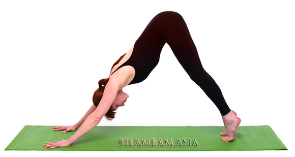 Center Splits Pose Yoga (Samakonasana), Yoga Sequences, Benefits,  Variations, and Sanskrit Pronunciation