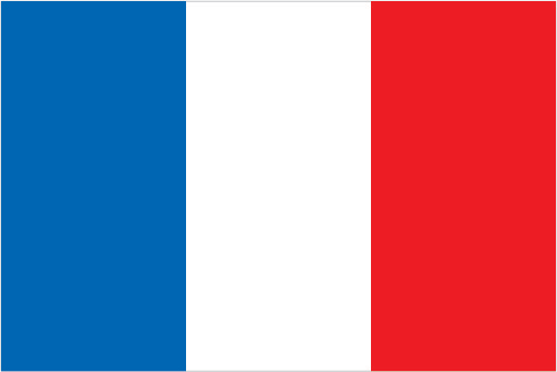 Silambam National Committee France Flag