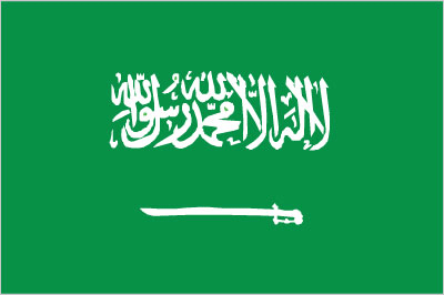 Silambam National Committee Saudi Arabia Flag