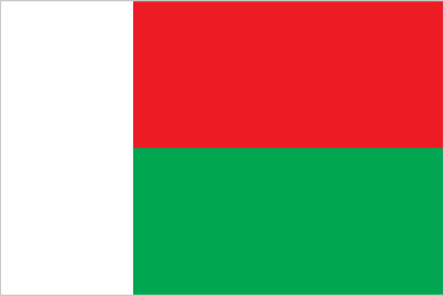 Silambam National Committee Madagascar Flag