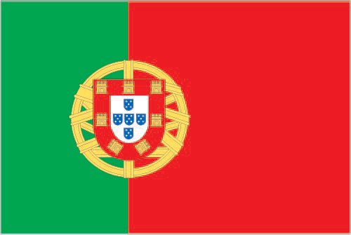 Silambam National Committee Portugal Flag