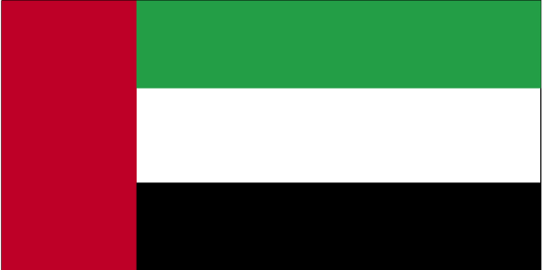 Silambam National Committee United Arab Emirates UAE Flag